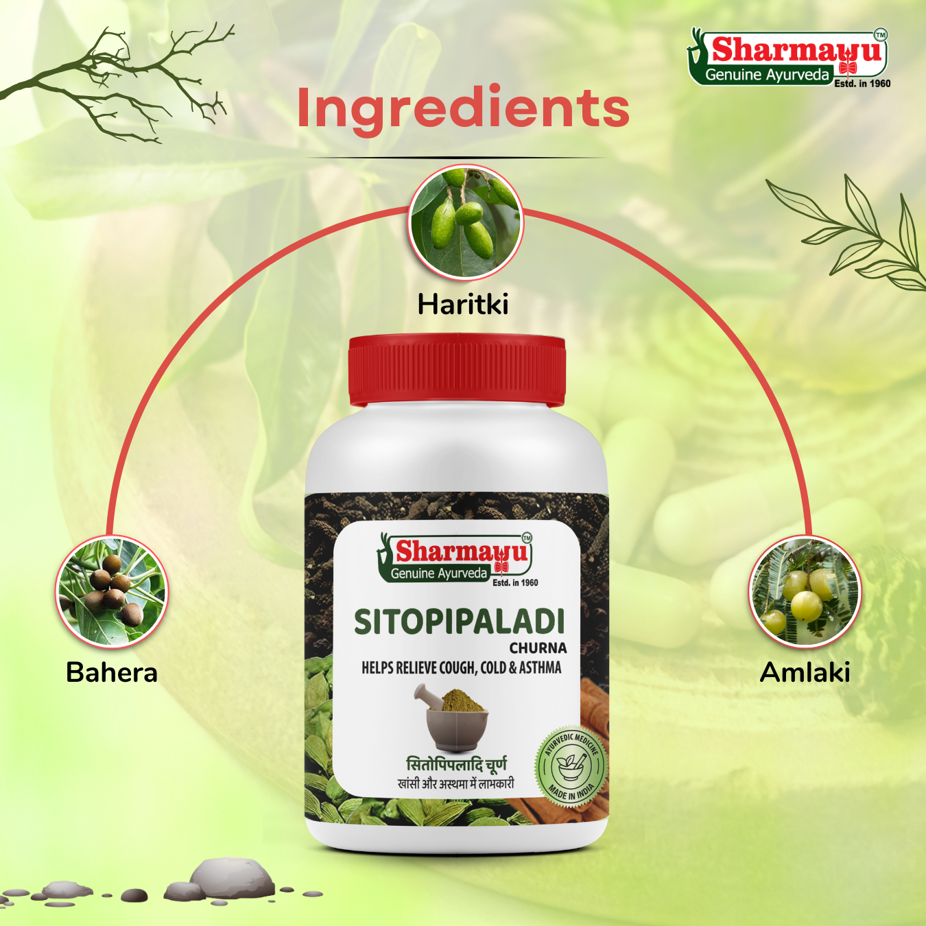 Sharmayu Sitopaladi Churna – Herbal Relief for Cough, Cold & Asthma (100g)