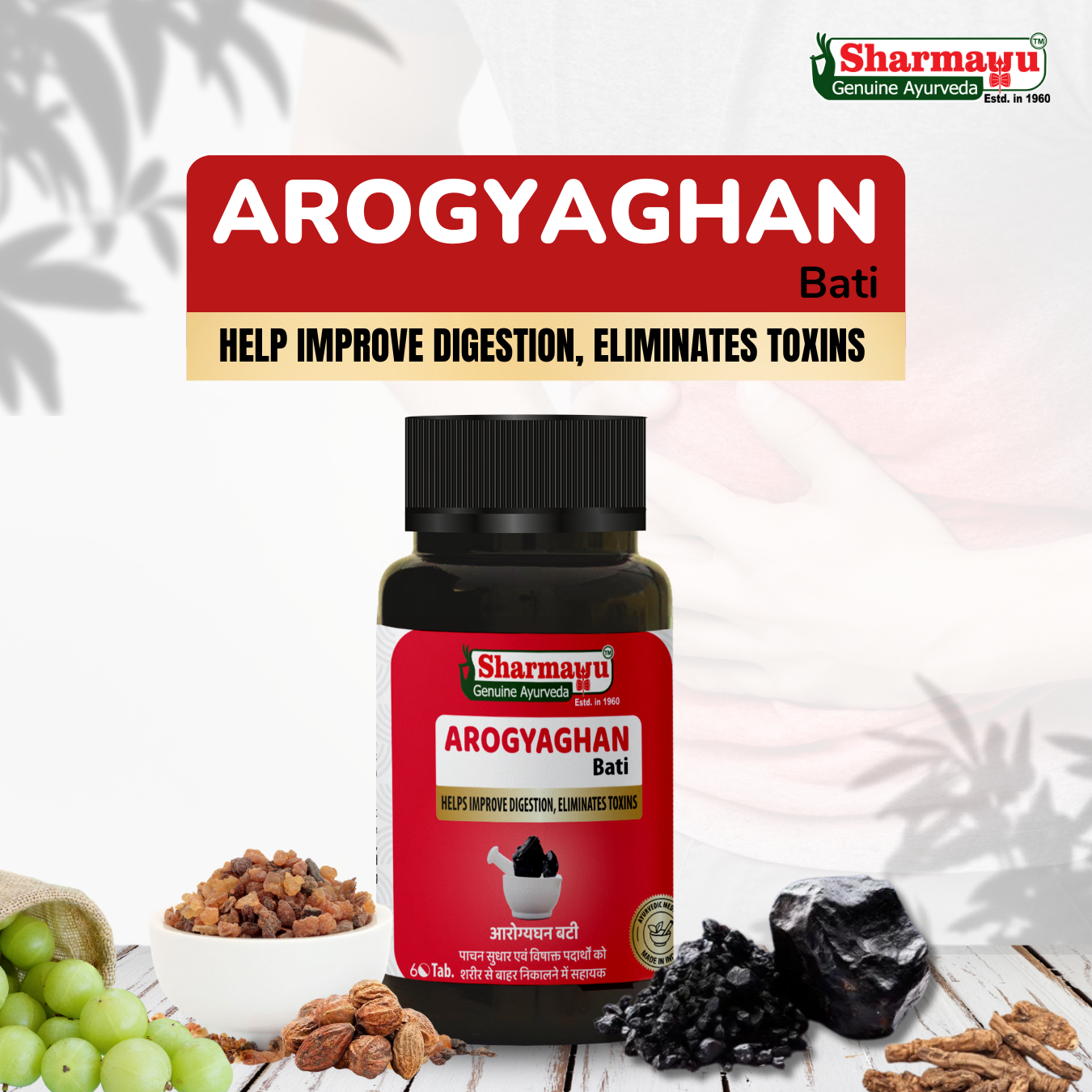 Sharmayu Arogyaghan Bati (Arogyavardhini Bati) - Ayurvedic Digestive Wellness Tablets (60 Tabs)