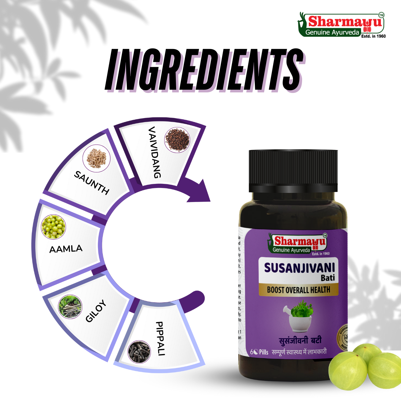 Sharmayu Susanjivani Bati (Sanjivani Bati) – Ayurvedic Fever Relief & Immunity Booster (60 Pills)