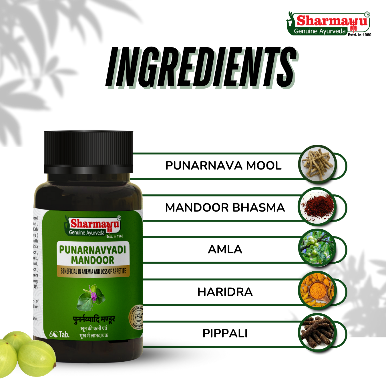 Sharmayu Punarnavyadi Mandoor – Ayurvedic Medicine for Anemia & Appetite Improvement