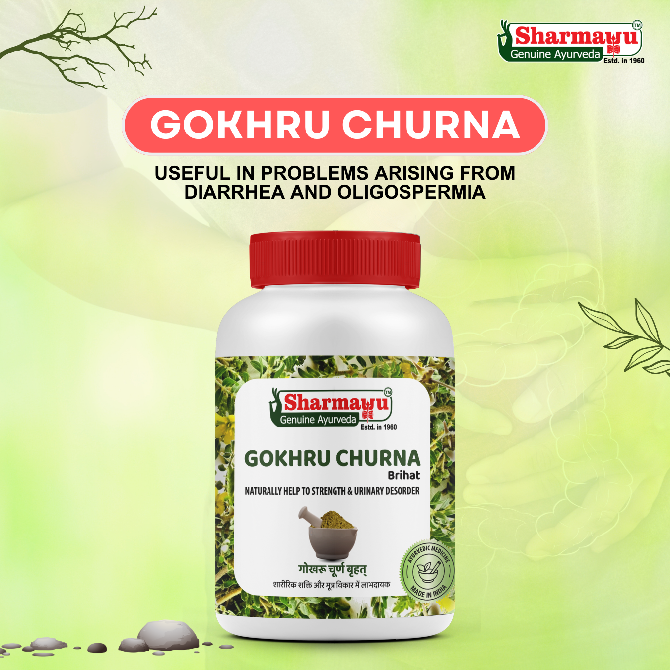 Sharmayu Gokhru Churna Brihat – Ayurvedic Remedy for Strength & Urinary Health
