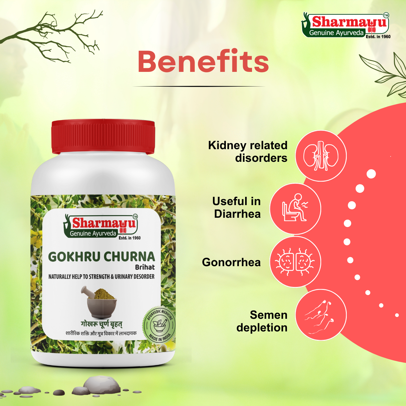 Sharmayu Gokhru Churna Brihat – Ayurvedic Remedy for Strength & Urinary Health