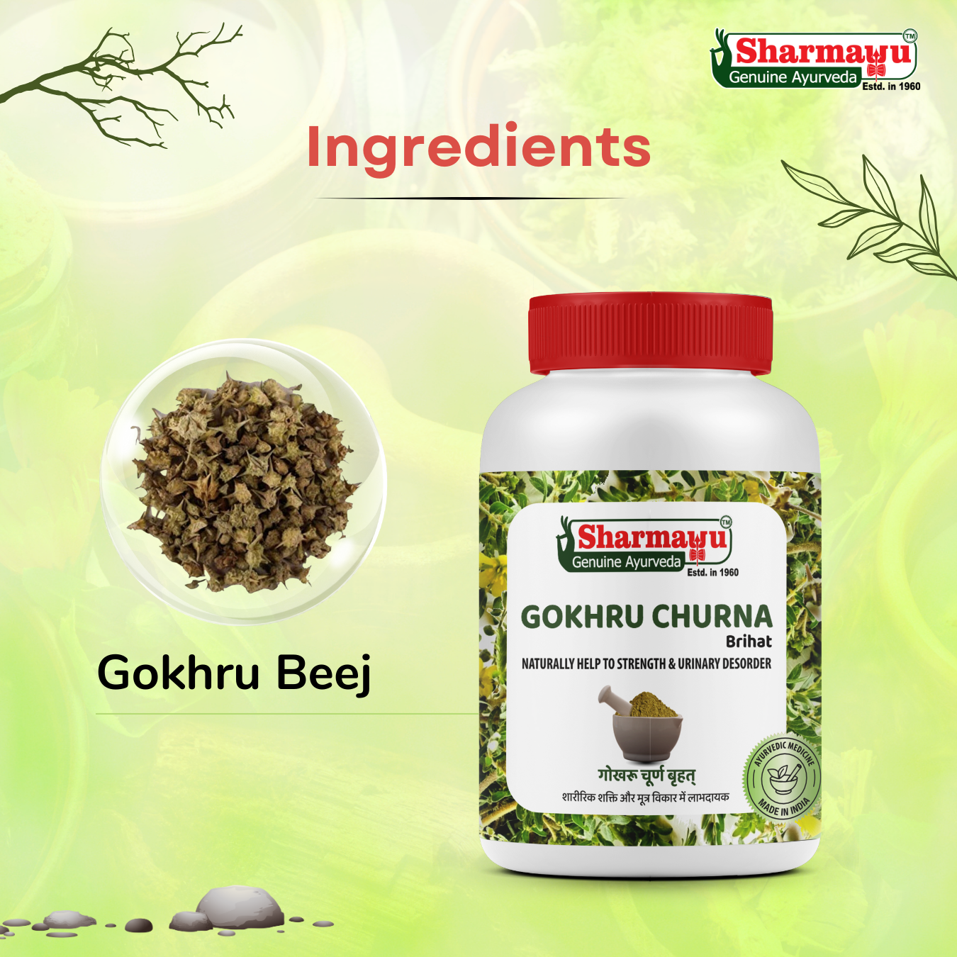 Sharmayu Gokhru Churna Brihat – Ayurvedic Remedy for Strength & Urinary Health