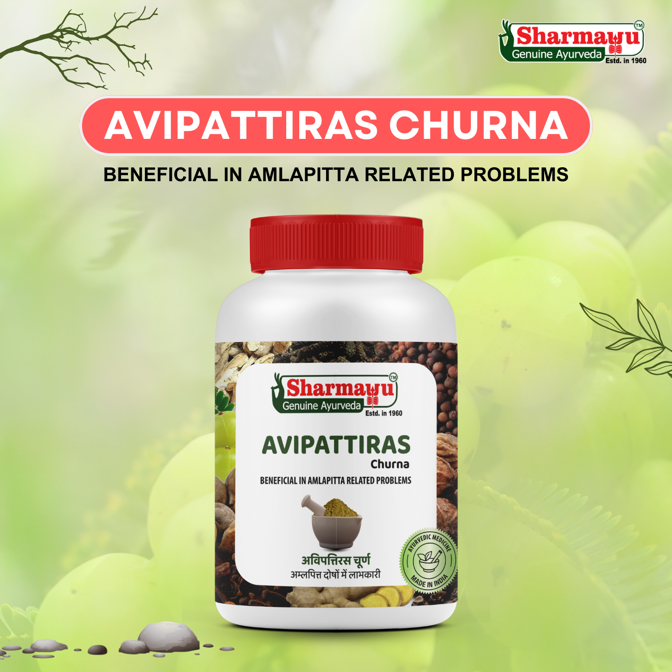 Sharmayu Avipattiras Churna – Ayurvedic Remedy for Digestive Health & Hyperacidity