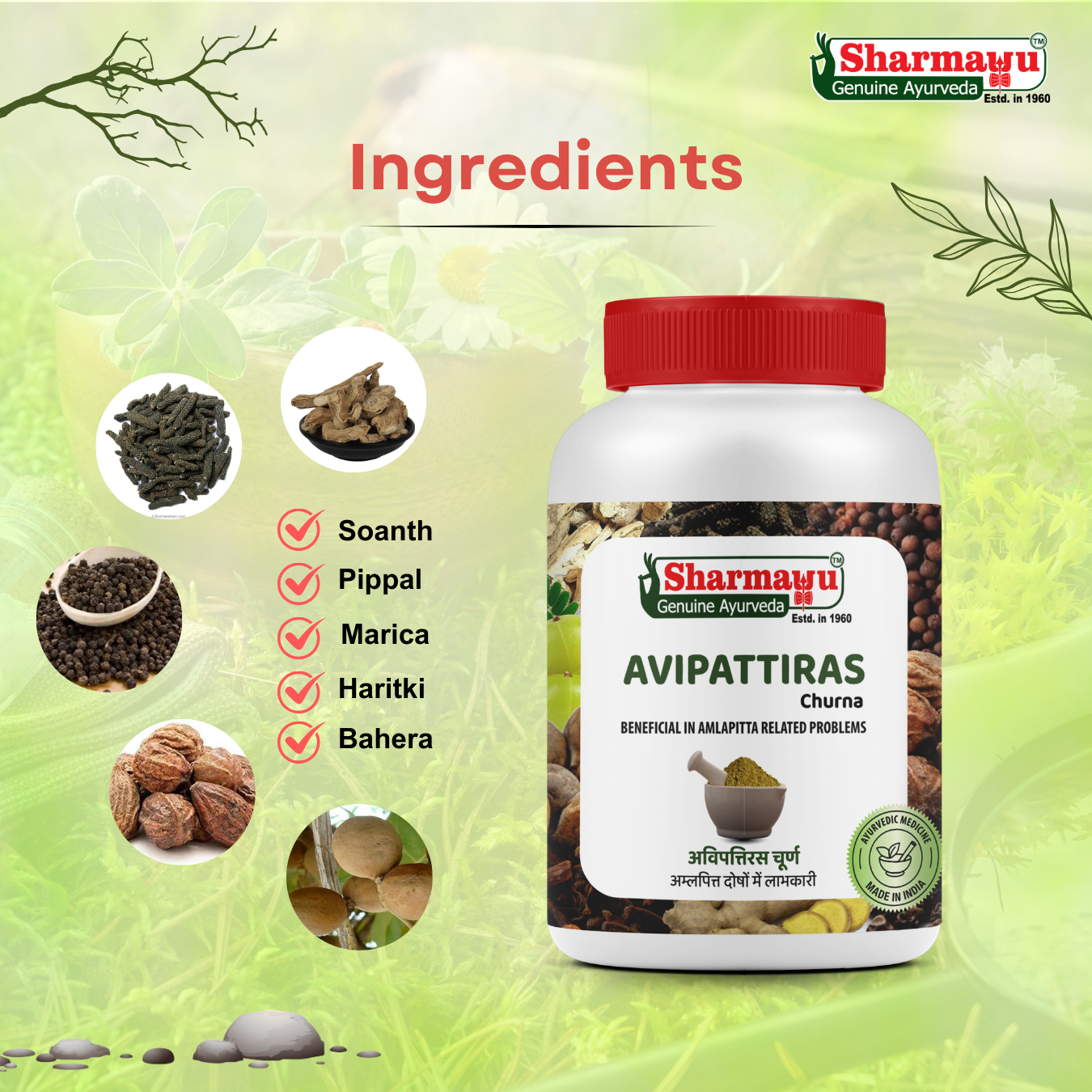 Sharmayu Avipattiras Churna – Ayurvedic Remedy for Digestive Health & Hyperacidity