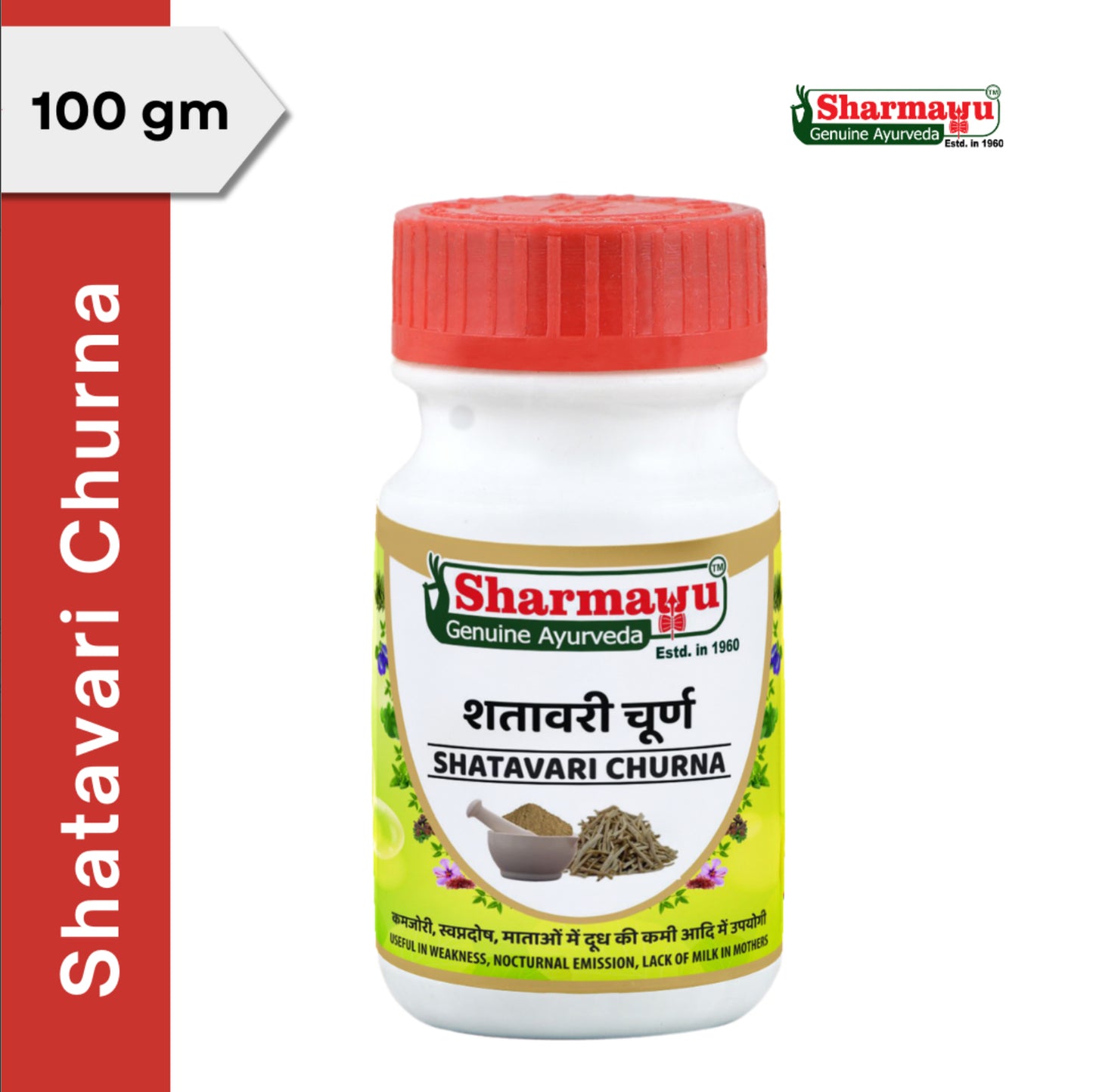 Shatavari Churna