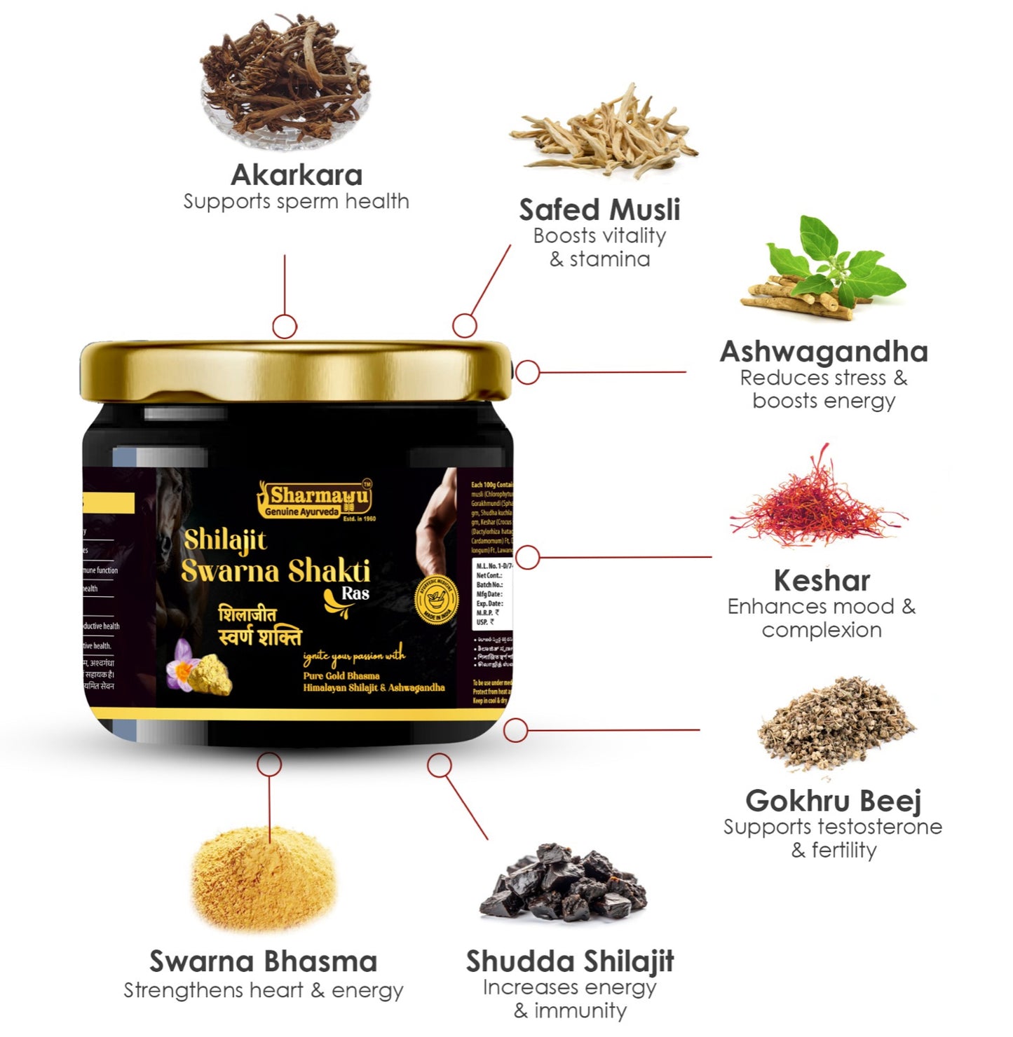 Shilajit Swarna Shakti Ras - 200 g