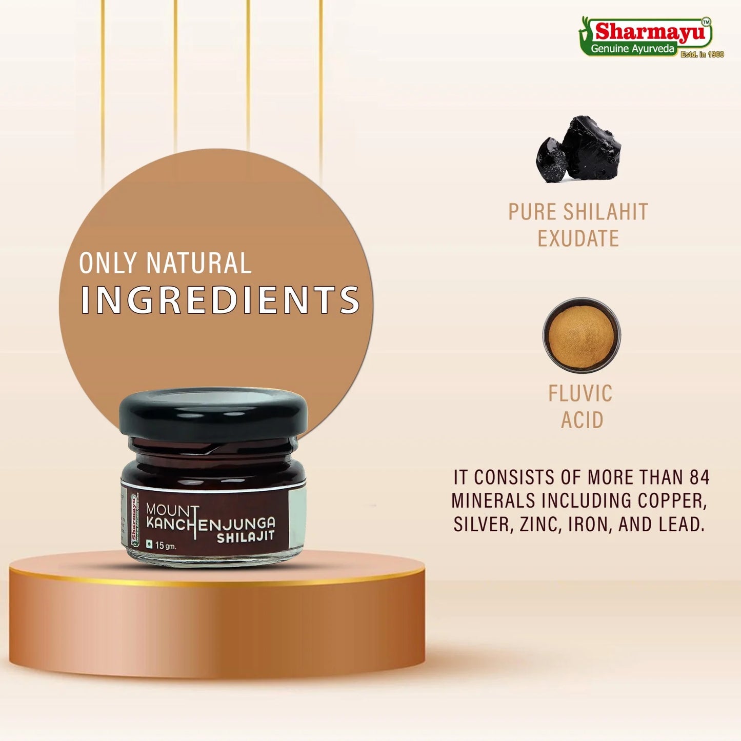 Shilajit 15 GM