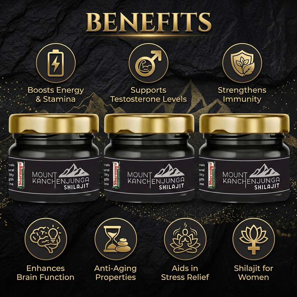 Mount Kanchenjunga Pure Himalayan Shilajit – Pack of 3 (20 g Each)