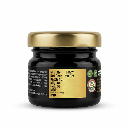 Shilajit Double Action 20g