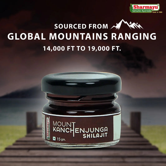 Mount Kanchenjunga Shilajit