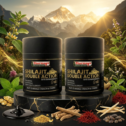 Shilajit Double Action Pack of 2 (20 g each)