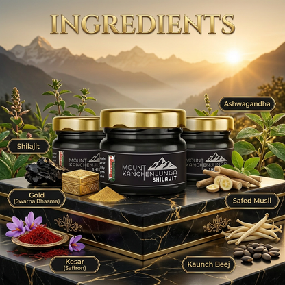 Mount Kanchenjunga Pure Himalayan Shilajit – Pack of 3 (20 g Each)