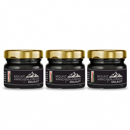 Mount Kanchenjunga Pure Himalayan Shilajit – Pack of 3 (20 g Each)