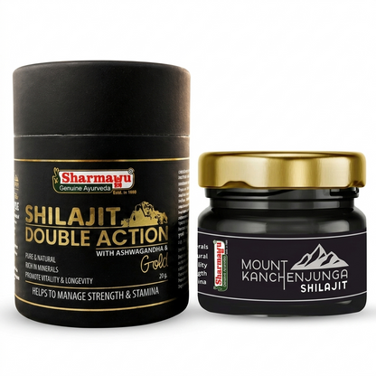 Shilajit Double Action + Mount Kanchenjunga Shilajit 20gm